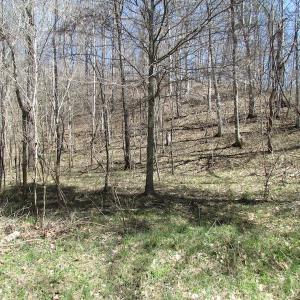 Photo of 72 Acres of Riverfront Pasture Land with Home For Sale in Buckingham County VA!