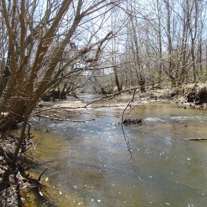 Photo of 72 Acres of Riverfront Pasture Land with Home For Sale in Buckingham County VA!