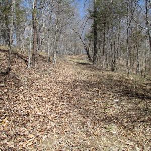 Photo of 72 Acres of Riverfront Pasture Land with Home For Sale in Buckingham County VA!