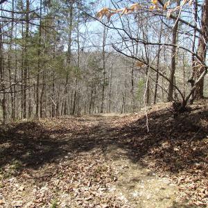 Photo of 72 Acres of Riverfront Pasture Land with Home For Sale in Buckingham County VA!