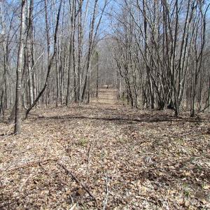 Photo of 72 Acres of Riverfront Pasture Land with Home For Sale in Buckingham County VA!