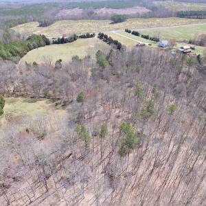 Photo of 72 Acres of Riverfront Pasture Land with Home For Sale in Buckingham County VA!