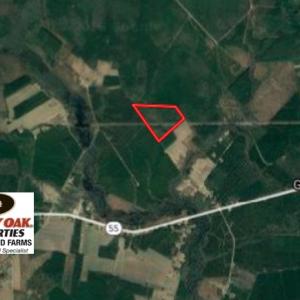 Photo of SOLD!  55.92 Acres of Timber and Hunting Land For Sale in Pamlico County NC!