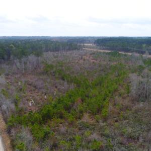 Photo of SOLD!  55.92 Acres of Timber and Hunting Land For Sale in Pamlico County NC!