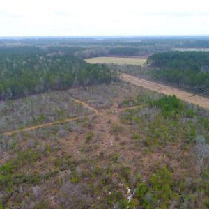 Photo of SOLD!  55.92 Acres of Timber and Hunting Land For Sale in Pamlico County NC!