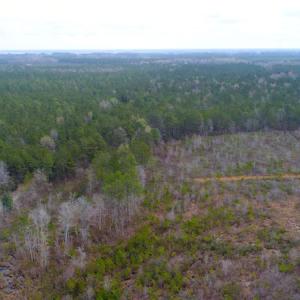 Photo of SOLD!  55.92 Acres of Timber and Hunting Land For Sale in Pamlico County NC!