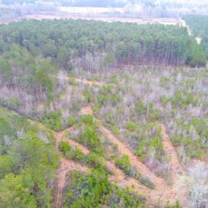 Photo of SOLD!  55.92 Acres of Timber and Hunting Land For Sale in Pamlico County NC!