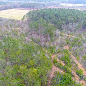Photo of SOLD!  55.92 Acres of Timber and Hunting Land For Sale in Pamlico County NC!