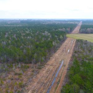 Photo of SOLD!  55.92 Acres of Timber and Hunting Land For Sale in Pamlico County NC!