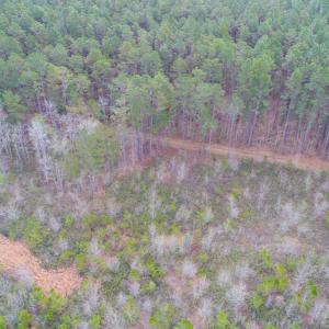Photo of SOLD!  55.92 Acres of Timber and Hunting Land For Sale in Pamlico County NC!