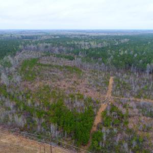 Photo of SOLD!  55.92 Acres of Timber and Hunting Land For Sale in Pamlico County NC!