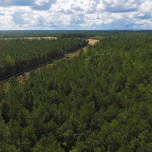 Photo of SOLD!  55.92 Acres of Timber and Hunting Land For Sale in Pamlico County NC!