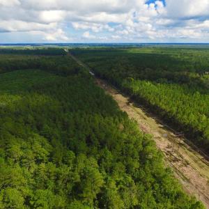 Photo of SOLD!  55.92 Acres of Timber and Hunting Land For Sale in Pamlico County NC!