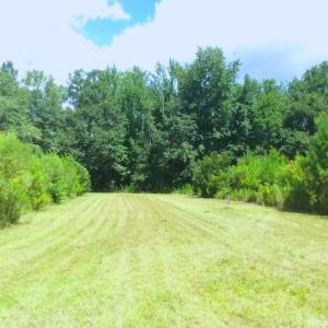 Photo of SOLD!  75.9 Acres of Timber and Hunting Land For Sale in Pamlico County NC!