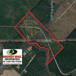 Photo of SOLD!  75.9 Acres of Timber and Hunting Land For Sale in Pamlico County NC!