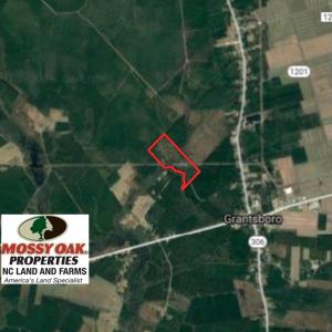 Photo of SOLD!  75.9 Acres of Timber and Hunting Land For Sale in Pamlico County NC!