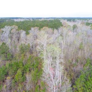 Photo of SOLD!  75.9 Acres of Timber and Hunting Land For Sale in Pamlico County NC!