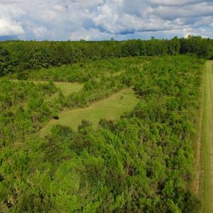 Photo of SOLD!  75.9 Acres of Timber and Hunting Land For Sale in Pamlico County NC!