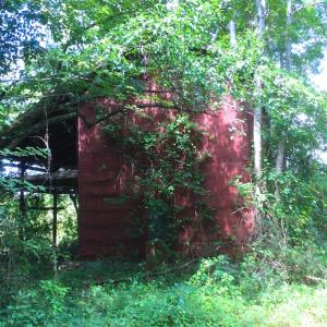 Photo of SOLD!  75.9 Acres of Timber and Hunting Land For Sale in Pamlico County NC!