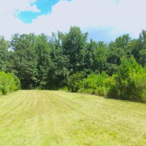 Photo of SOLD!  75.9 Acres of Timber and Hunting Land For Sale in Pamlico County NC!