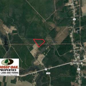 Photo of UNDER CONTRACT!  34 Acres of Timber and Hunting Land For Sale in Pamlico County NC!