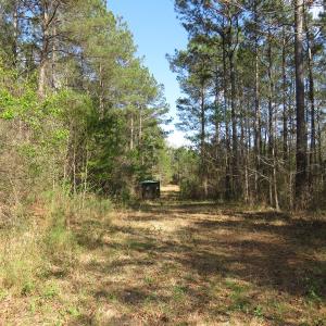 Photo of UNDER CONTRACT!  138 +/- Acres of Farm and Timber Land For Sale in Brunswick County NC!