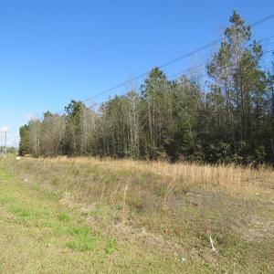 Photo of UNDER CONTRACT!  138 +/- Acres of Farm and Timber Land For Sale in Brunswick County NC!