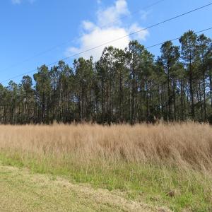 Photo of UNDER CONTRACT!  138 +/- Acres of Farm and Timber Land For Sale in Brunswick County NC!