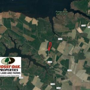 Photo of UNDER CONTRACT!  25.13 Acres of Affordable Clear Cut Timber Land For Sale in Hyde County NC!