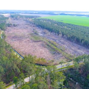 Photo of UNDER CONTRACT!  25.13 Acres of Affordable Clear Cut Timber Land For Sale in Hyde County NC!