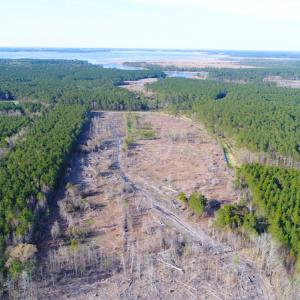 Photo of UNDER CONTRACT!  25.13 Acres of Affordable Clear Cut Timber Land For Sale in Hyde County NC!