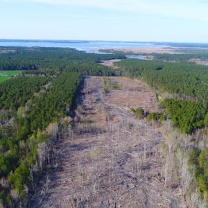 Photo of UNDER CONTRACT!  25.13 Acres of Affordable Clear Cut Timber Land For Sale in Hyde County NC!