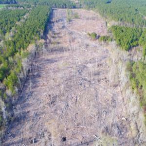Photo of UNDER CONTRACT!  25.13 Acres of Affordable Clear Cut Timber Land For Sale in Hyde County NC!