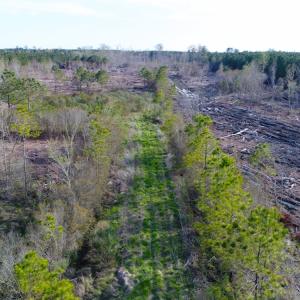 Photo of UNDER CONTRACT!  25.13 Acres of Affordable Clear Cut Timber Land For Sale in Hyde County NC!