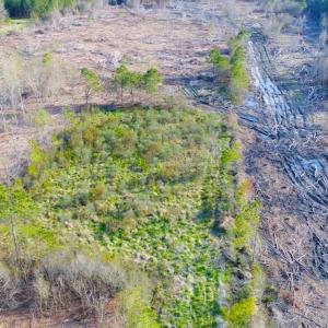 Photo of UNDER CONTRACT!  25.13 Acres of Affordable Clear Cut Timber Land For Sale in Hyde County NC!
