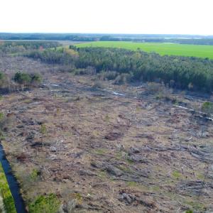 Photo of UNDER CONTRACT!  25.13 Acres of Affordable Clear Cut Timber Land For Sale in Hyde County NC!