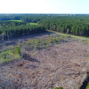 Photo of UNDER CONTRACT!  25.13 Acres of Affordable Clear Cut Timber Land For Sale in Hyde County NC!