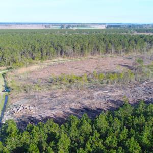 Photo of UNDER CONTRACT!  25.13 Acres of Affordable Clear Cut Timber Land For Sale in Hyde County NC!