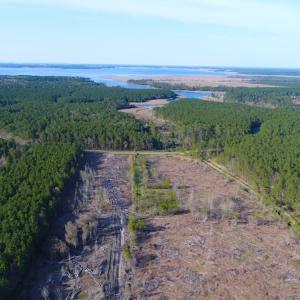 Photo of UNDER CONTRACT!  25.13 Acres of Affordable Clear Cut Timber Land For Sale in Hyde County NC!