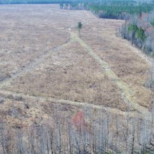 Photo of UNDER CONTRACT!  171 Acres of Timber Land For Sale In Halifax County NC!