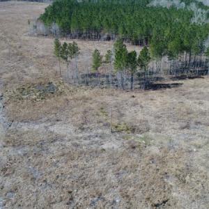 Photo of UNDER CONTRACT!  171 Acres of Timber Land For Sale In Halifax County NC!