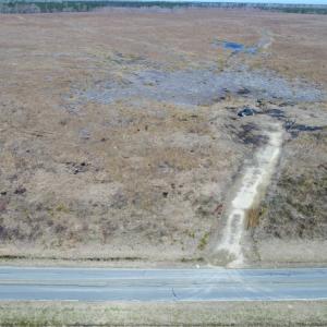 Photo of UNDER CONTRACT!  171 Acres of Timber Land For Sale In Halifax County NC!
