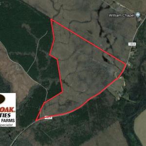 Photo of UNDER CONTRACT!  171 Acres of Timber Land For Sale In Halifax County NC!