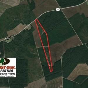 Photo of SOLD!!  62.82 Acres of Hunting and Timber Land for Sale in Pender County NC!