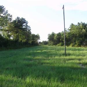 Photo of SOLD!!  62.82 Acres of Hunting and Timber Land for Sale in Pender County NC!