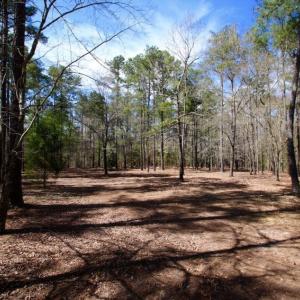 Photo of UNDER CONTRACT!  Estate Home and Land for Sale in Greenville NC!
