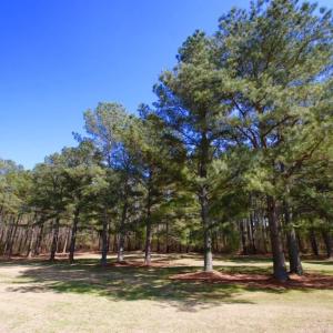 Photo of UNDER CONTRACT!  Estate Home and Land for Sale in Greenville NC!