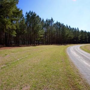 Photo of UNDER CONTRACT!  Estate Home and Land for Sale in Greenville NC!