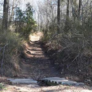 Photo of SOLD!  30 Acres of Recreational Land For Sale in Accomack County VA!