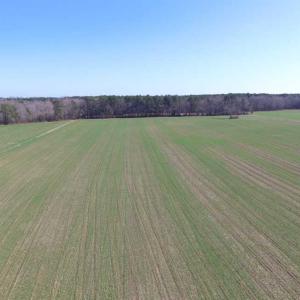 Photo of SOLD!  30 Acres of Recreational Land For Sale in Accomack County VA!